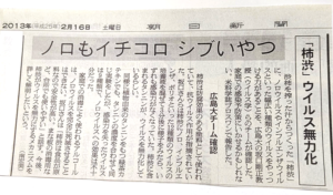 「柿渋」ウイルス無力化　　朝日新聞　より